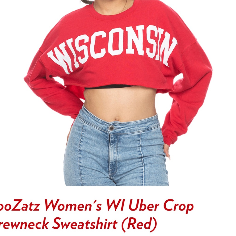 NWOT- WI Badgers cropped sweatshirt